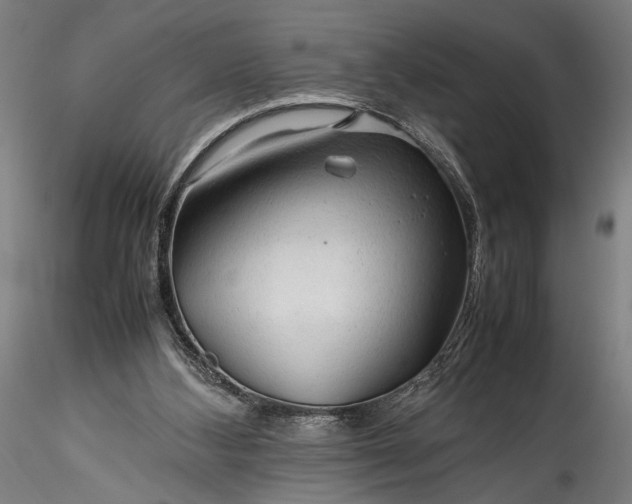 X0000115800108200911271300