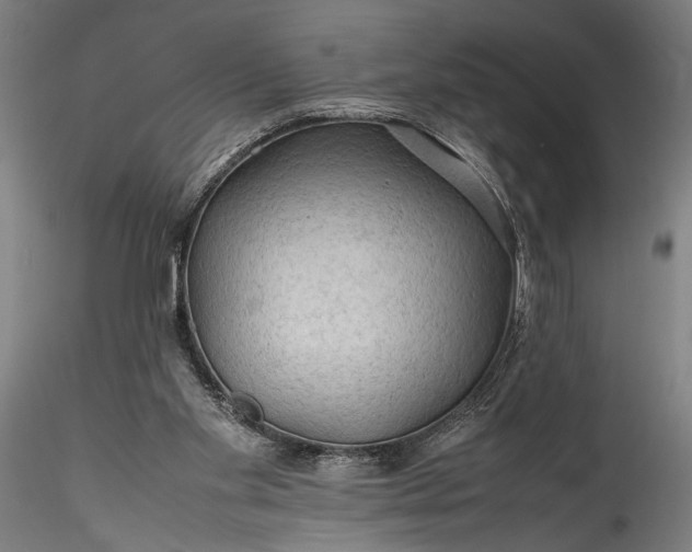 X0000115800109200911271300