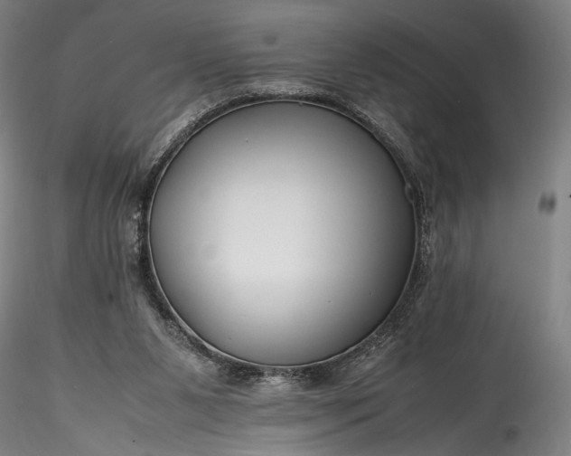 X0000115800111200911271300