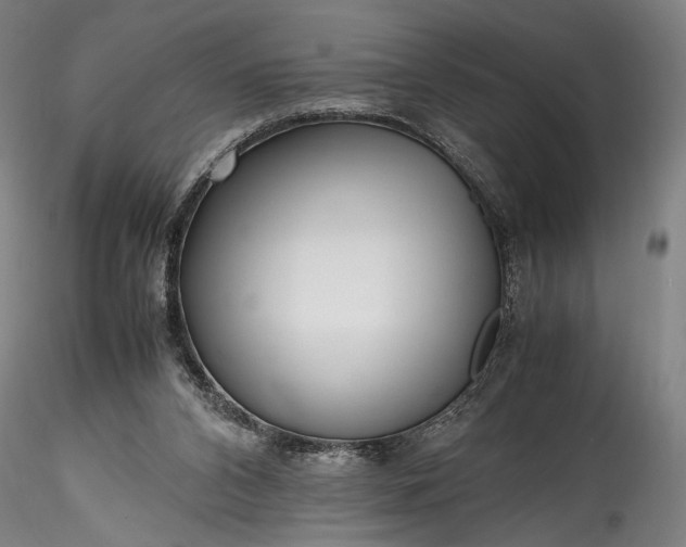 X0000115800112200911271300