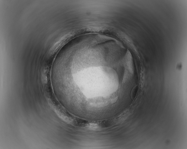 X0000115800114200911271300