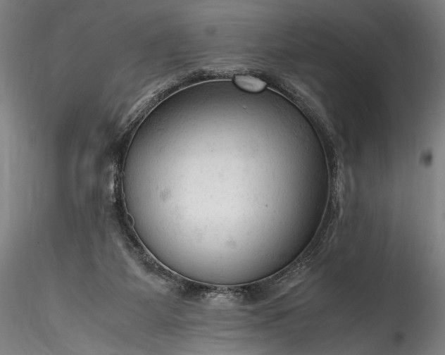 X0000115800115200911271300