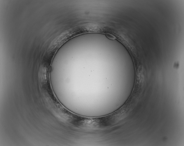 X0000115800117200911271300