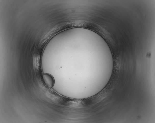 X0000115800118200911271300