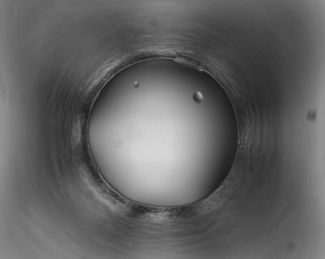 X0000115800120200911271300