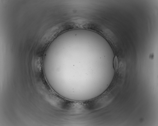 X0000115800121200911271259