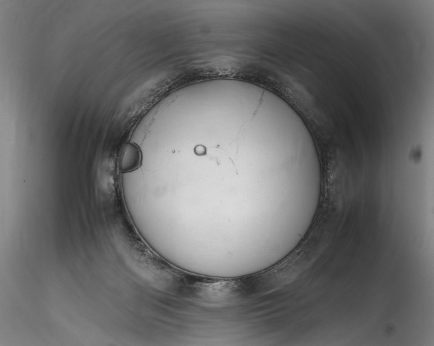 X0000115800122200911271259