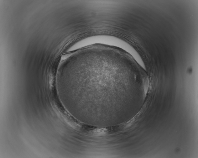 X0000115800124200911271259