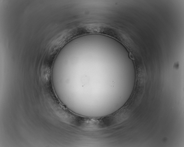 X0000115800125200911271259