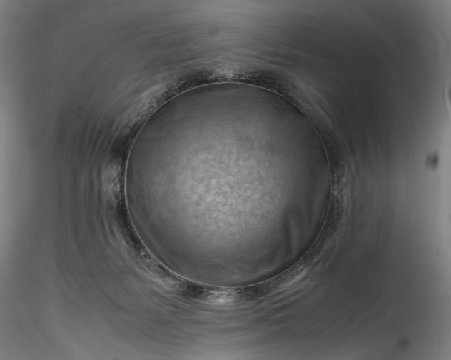 X0000115800127200911271259