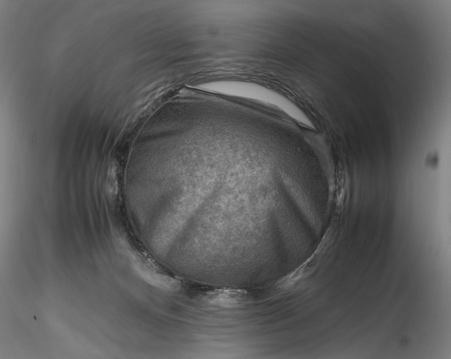 X0000115800128200911271259