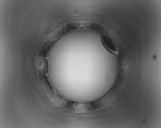 X0000115800129200911271259