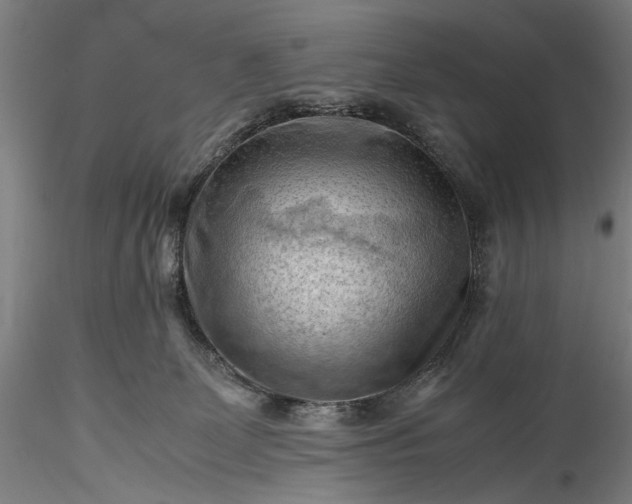 X0000115800131200911271259