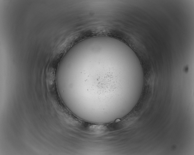 X0000115800133200911271259