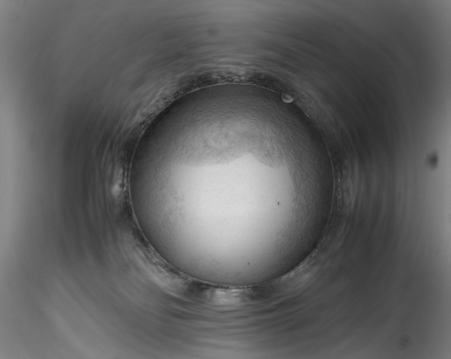 X0000115800134200911271259