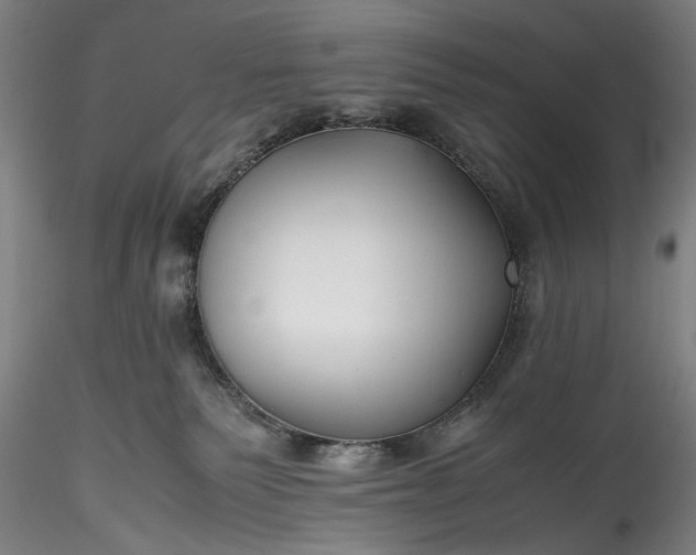 X0000115800135200911271259