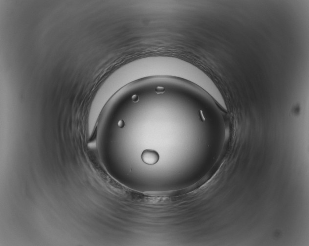 X0000115800136200911271259