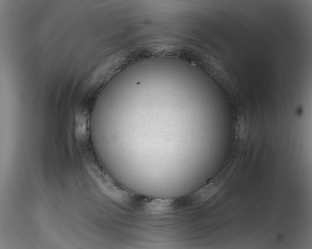 X0000115800138200911271259