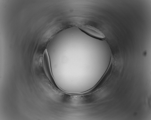 X0000115800141200911271259