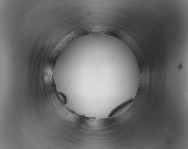 X0000115800142200911271259