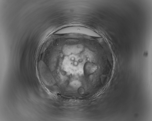 X0000115800145200911271258