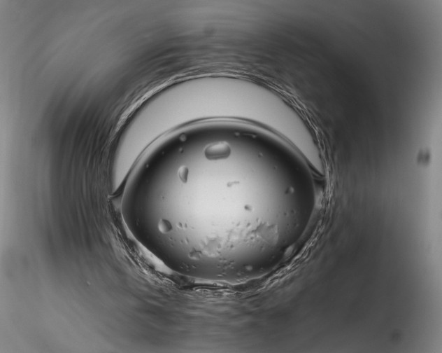 X0000115800146200911271258