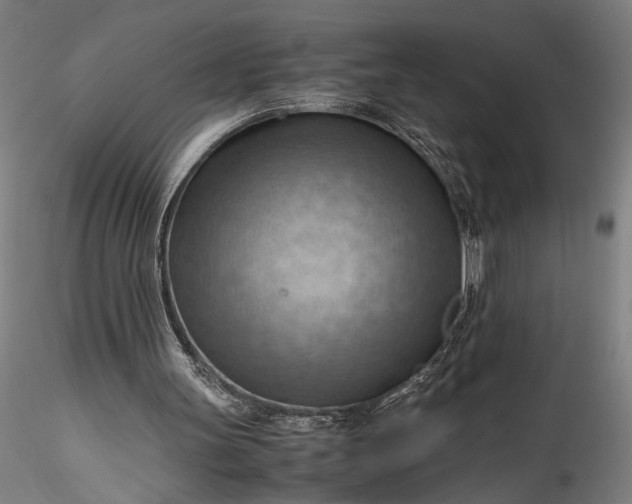 X0000115800147200911271258