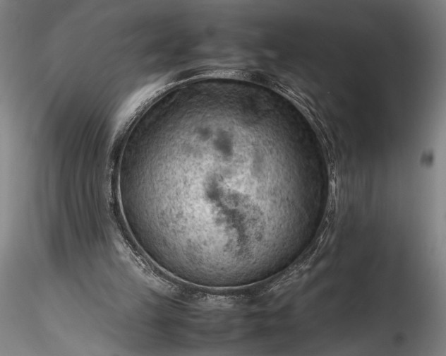 X0000115800149200911271258