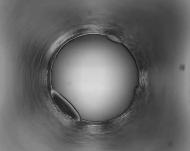 X0000115800150200911271258