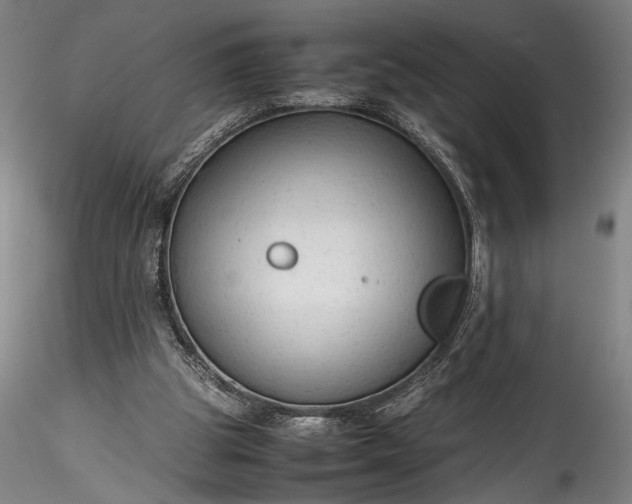 X0000115800153200911271258