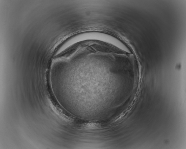 X0000115800154200911271258