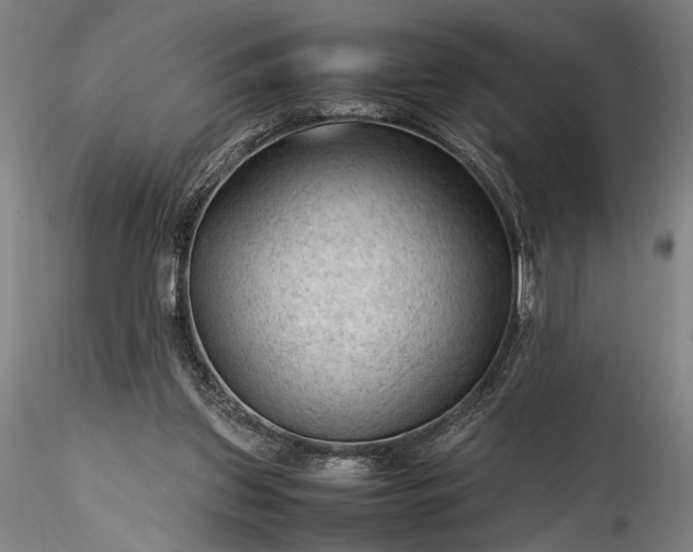 X0000115800157200911271258