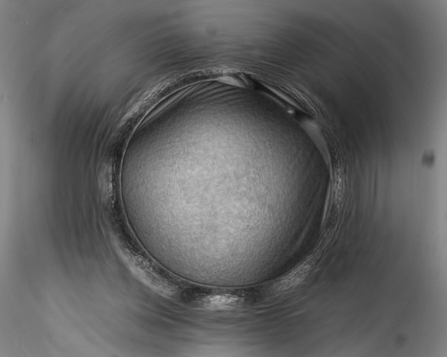 X0000115800158200911271259