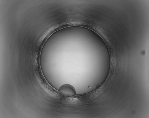 X0000115800159200911271259