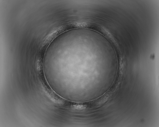 X0000115800161200911271259