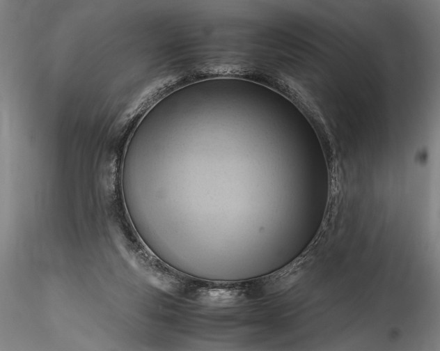 X0000115800163200911271259