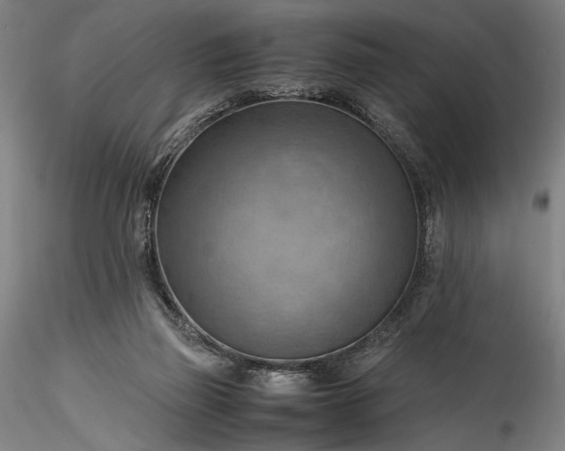 X0000115800165200911271259