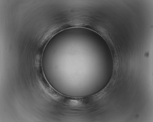 X0000115800167200911271259