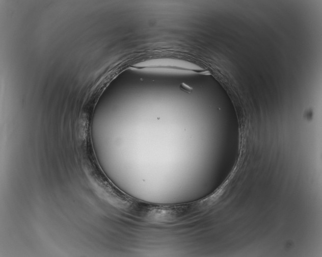 X0000115800174200911271259