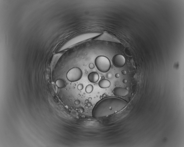 X0000115800175200911271259