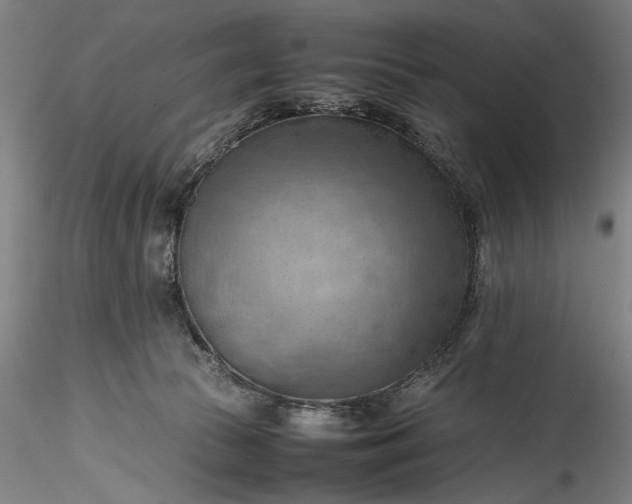 X0000115800177200911271259