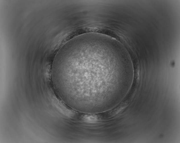 X0000115800181200911271259