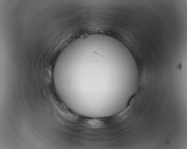 X0000115800183200911271259