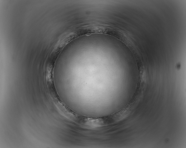 X0000115800185200911271259