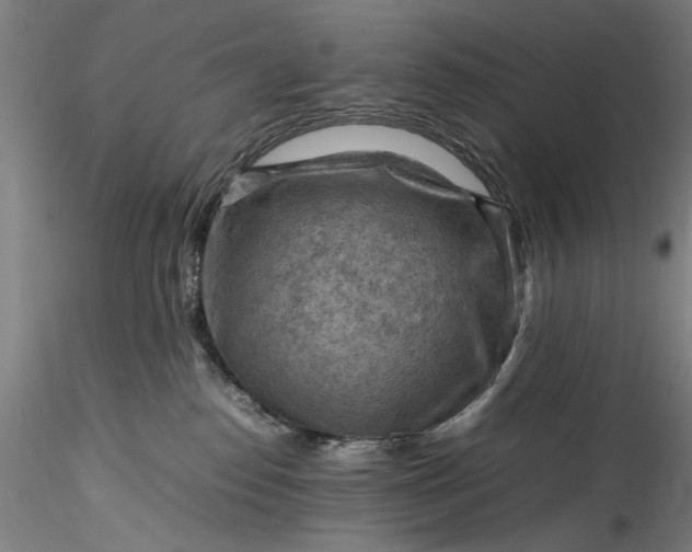 X0000115800186200911271259