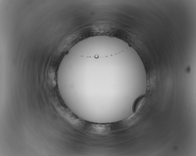 X0000115800187200911271259