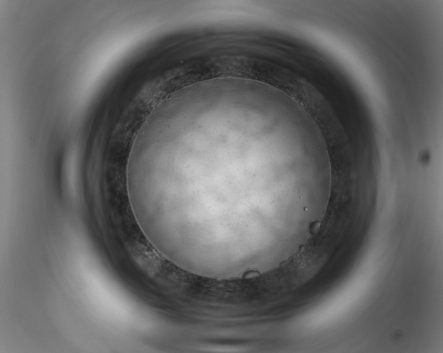 X0000115800189200911271259