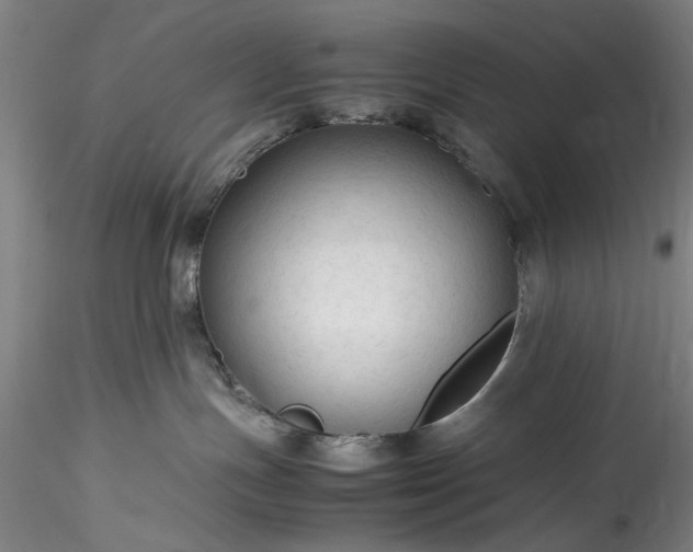 X0000115800191200911271259