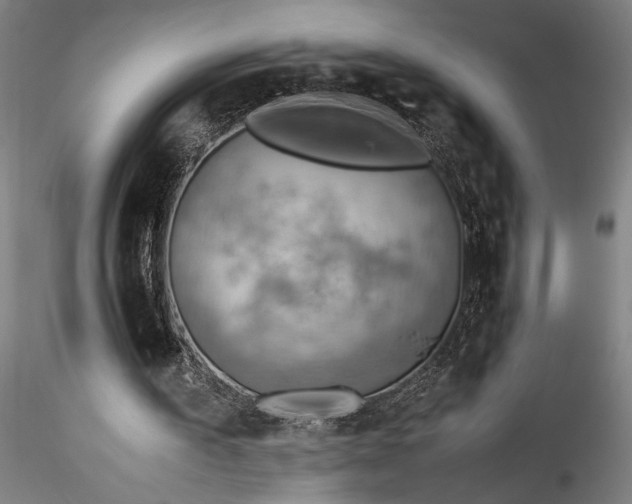 X0000115800195200911271258