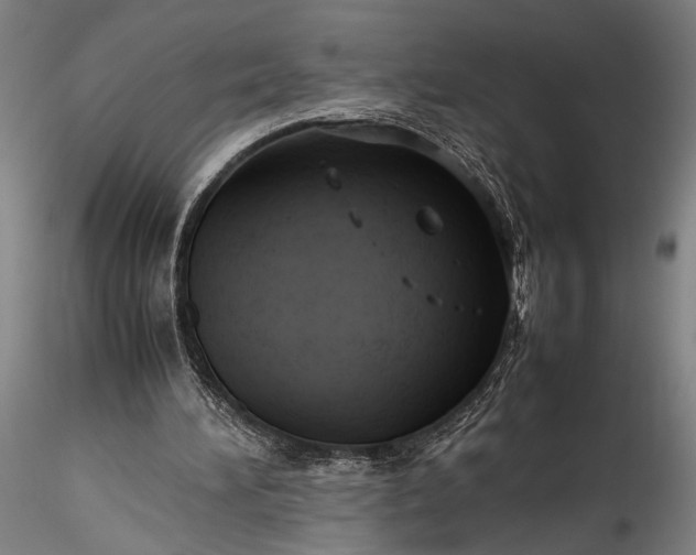 X0000115800196200911271258